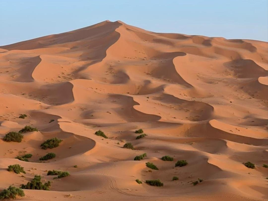 Moroccan Safaris Travel-非斯必去景点