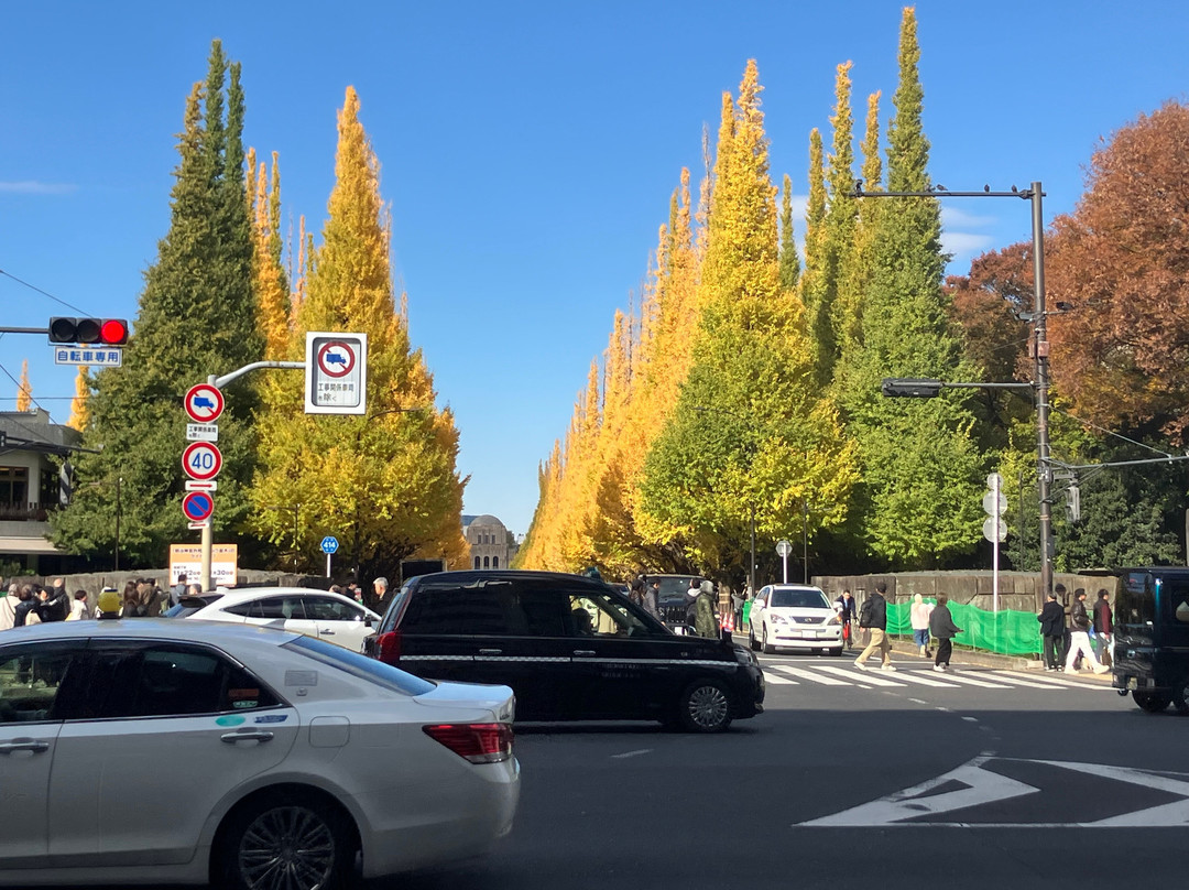 Jingu Gaien Ginkgo Tree-lined Street-港区必去景点