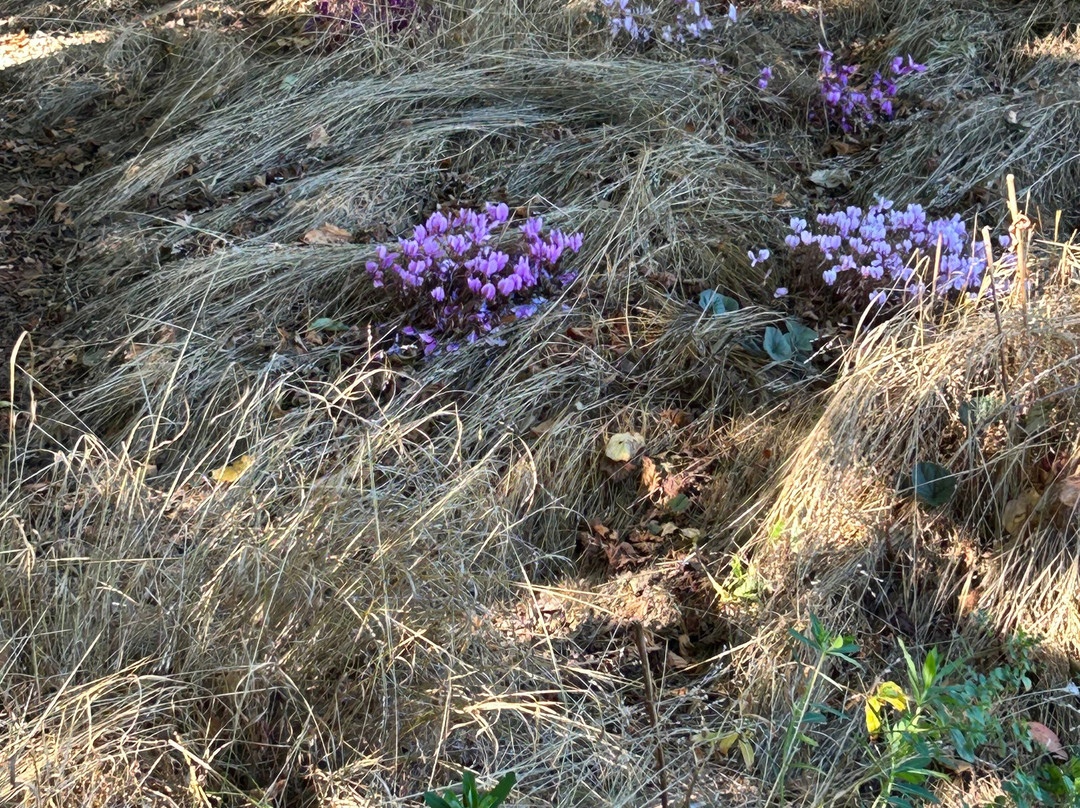 Le Jardin Plume-Auzouville-sur-Ry必去景点
