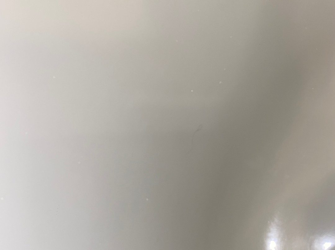 劳埃德拜亚酒店主图