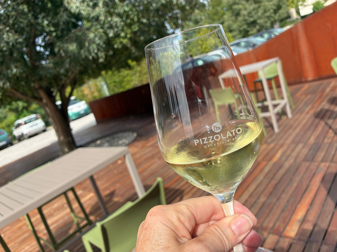 Cantina Pizzolato Società Benefit - Organic Wine Experience-维洛尔巴必去景点