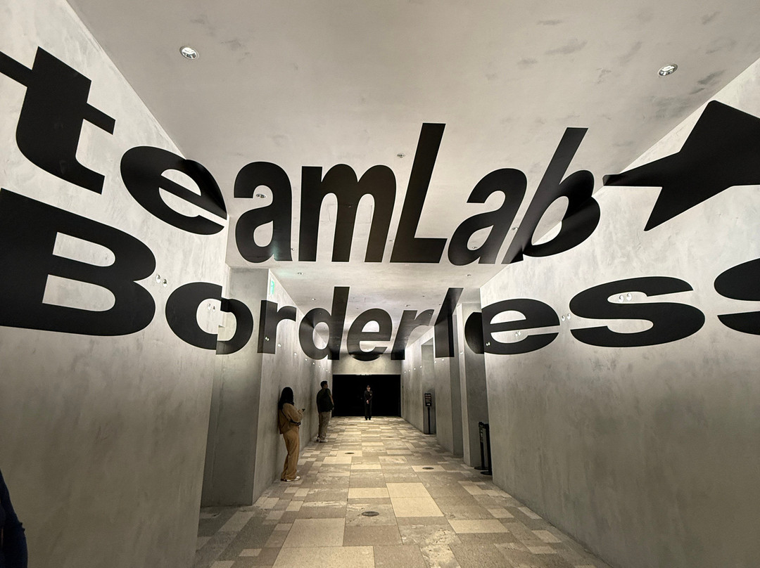 Teamlab Borderless Tokyo-港区必去景点