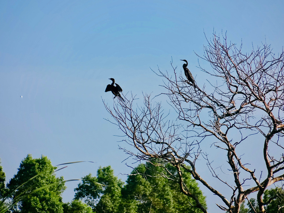 Wildlife Wonders Sri Lanka-唐卡拉必去景点