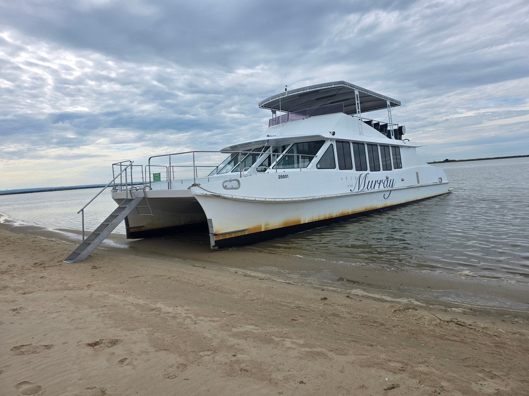 Spirit of the Coorong Cruises-Goolwa必去景点