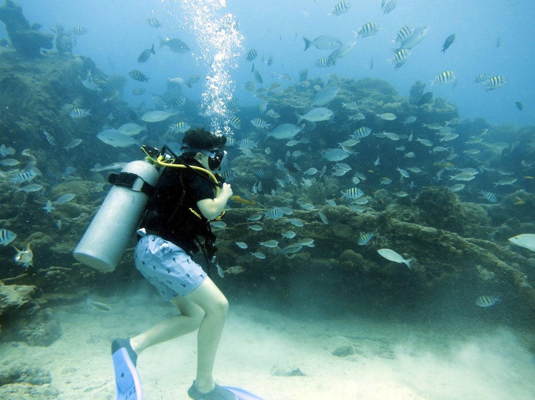Seahorse Divers Barbados-奥伊斯廷斯必去景点