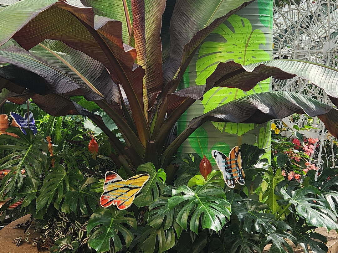 Wings of Mackinac Butterfly Conservatory-麦其诺岛必去景点