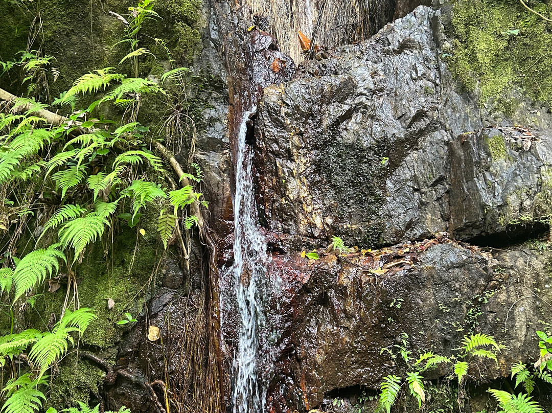 Crystal Cascades-Redlynch必去景点
