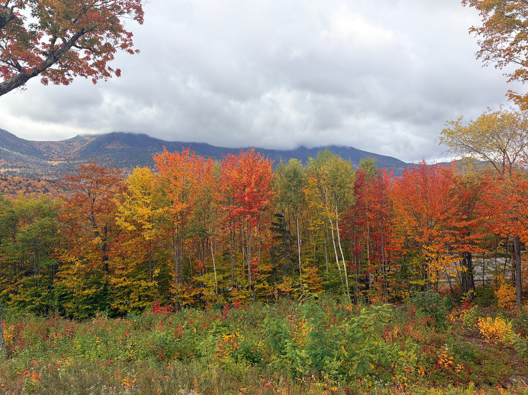Hancock Overlook