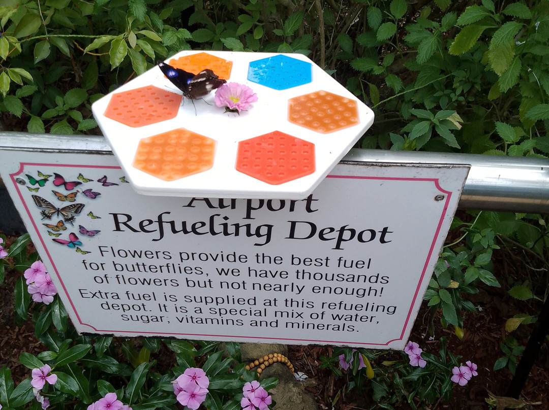 Bribie Island Butterfly House-Bongaree必去景点