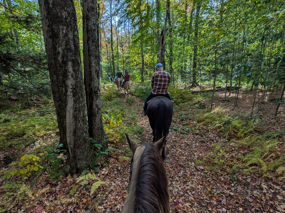 Why-Not Riding Stable-Lake Ariel必去景点