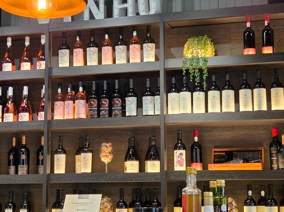 Loja - Dunamis Vinhos & Vinhedos-格拉玛多必去景点