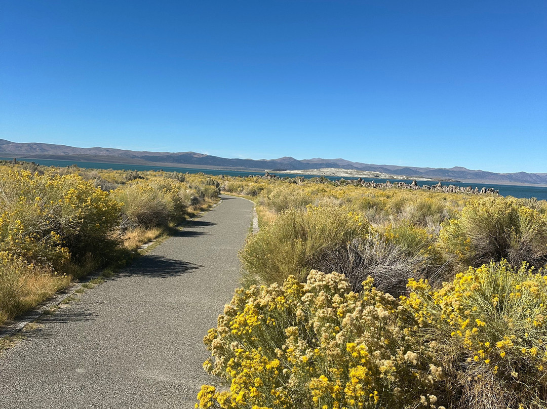 Mono Lake Tufa State Natural Reserve-利韦宁必去景点