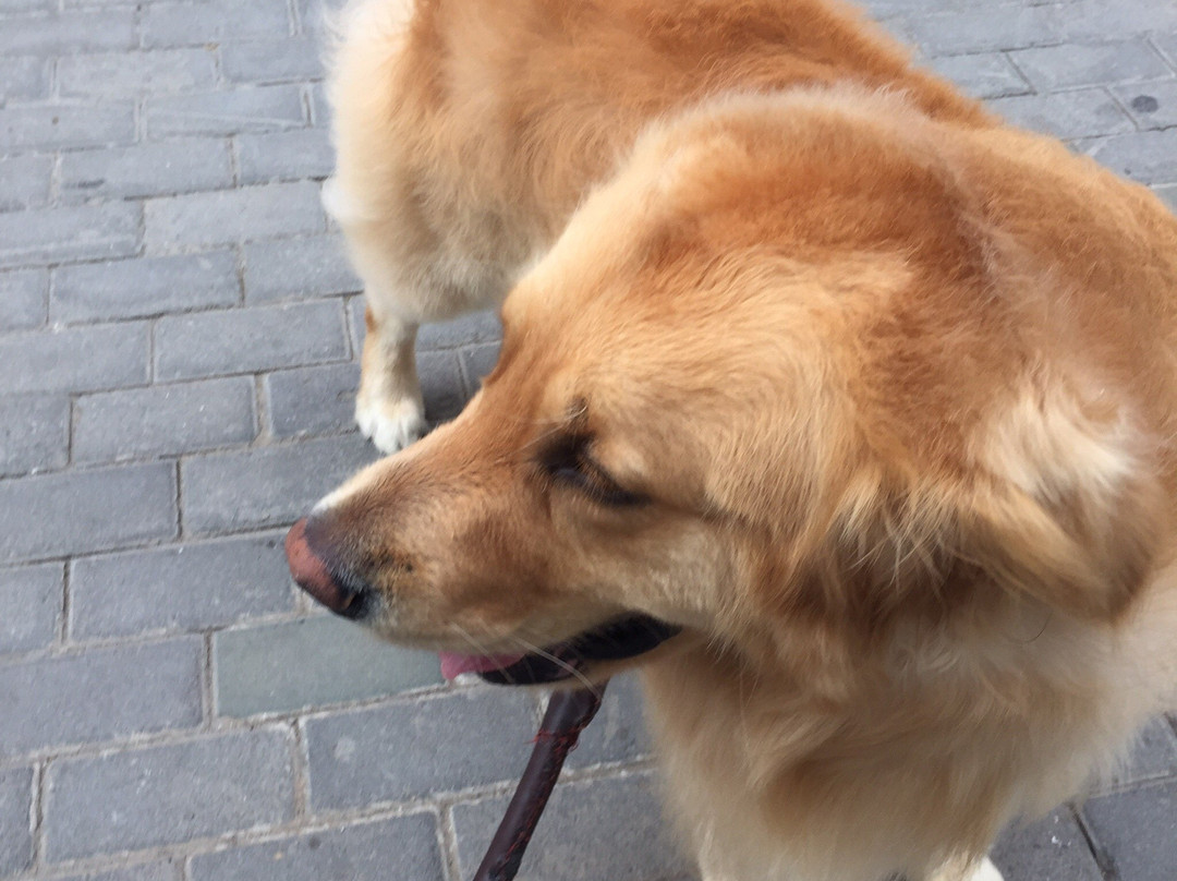 文县旅游攻略图片