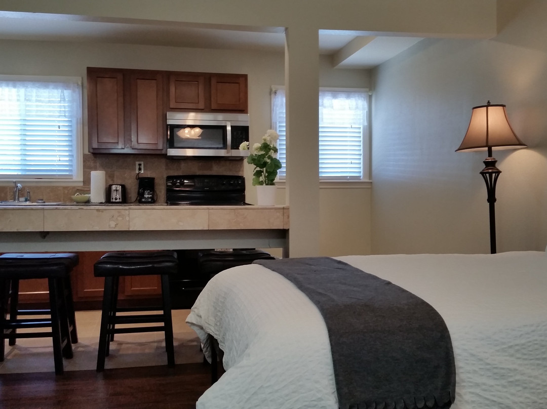 毕晓普酒店住宿-树上旅馆