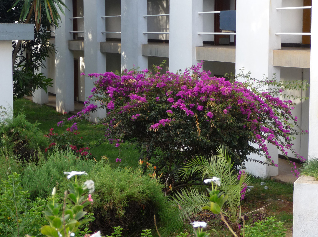 Tana Hotel