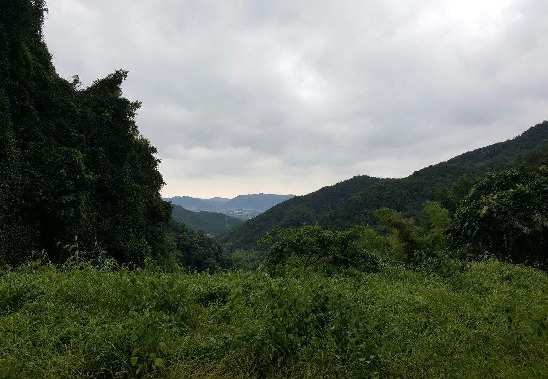 凤鸣山-上虞市必去景点