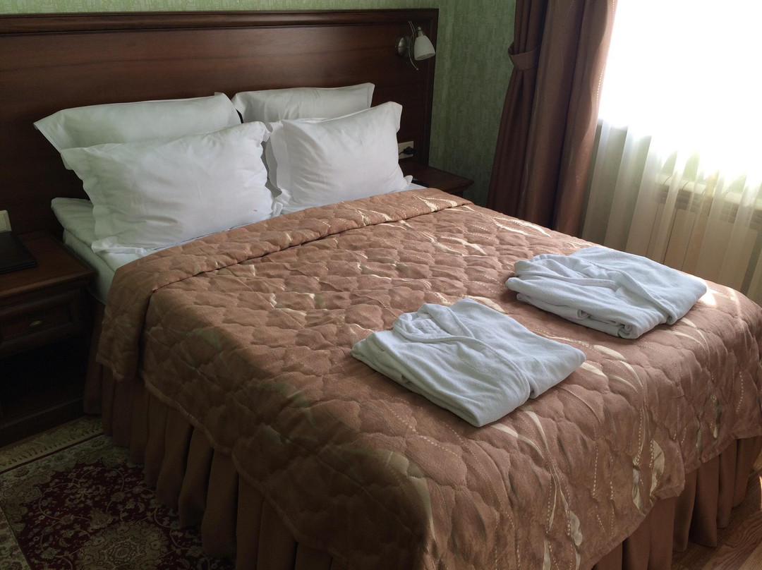 Zheleznovodsk酒店住宿-Spa Hotel Slavyanovsky Istok