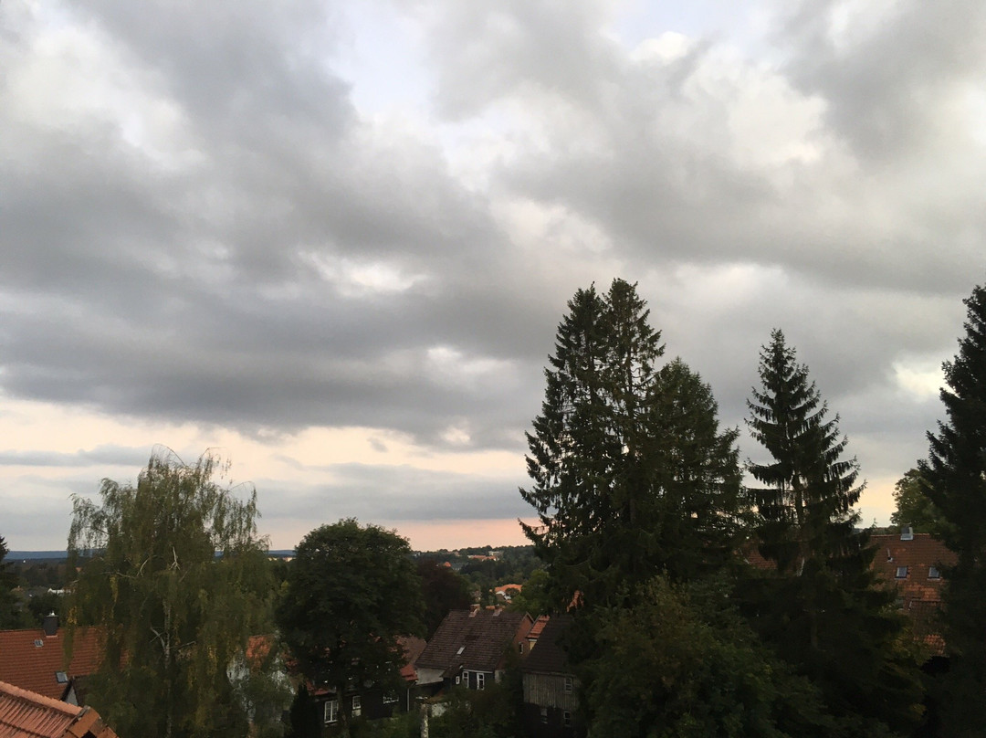 克劳斯塔尔-采勒费尔德酒店住宿-Harzhotel Zum Prinzen