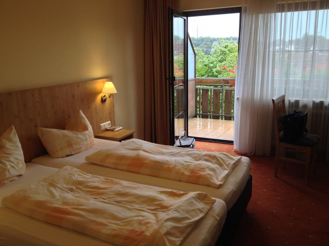 Radolfzell am Bodensee旅游攻略图片