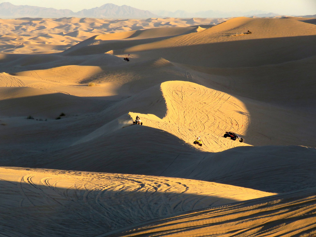Felicity旅游景点-Imperial Sand Dunes