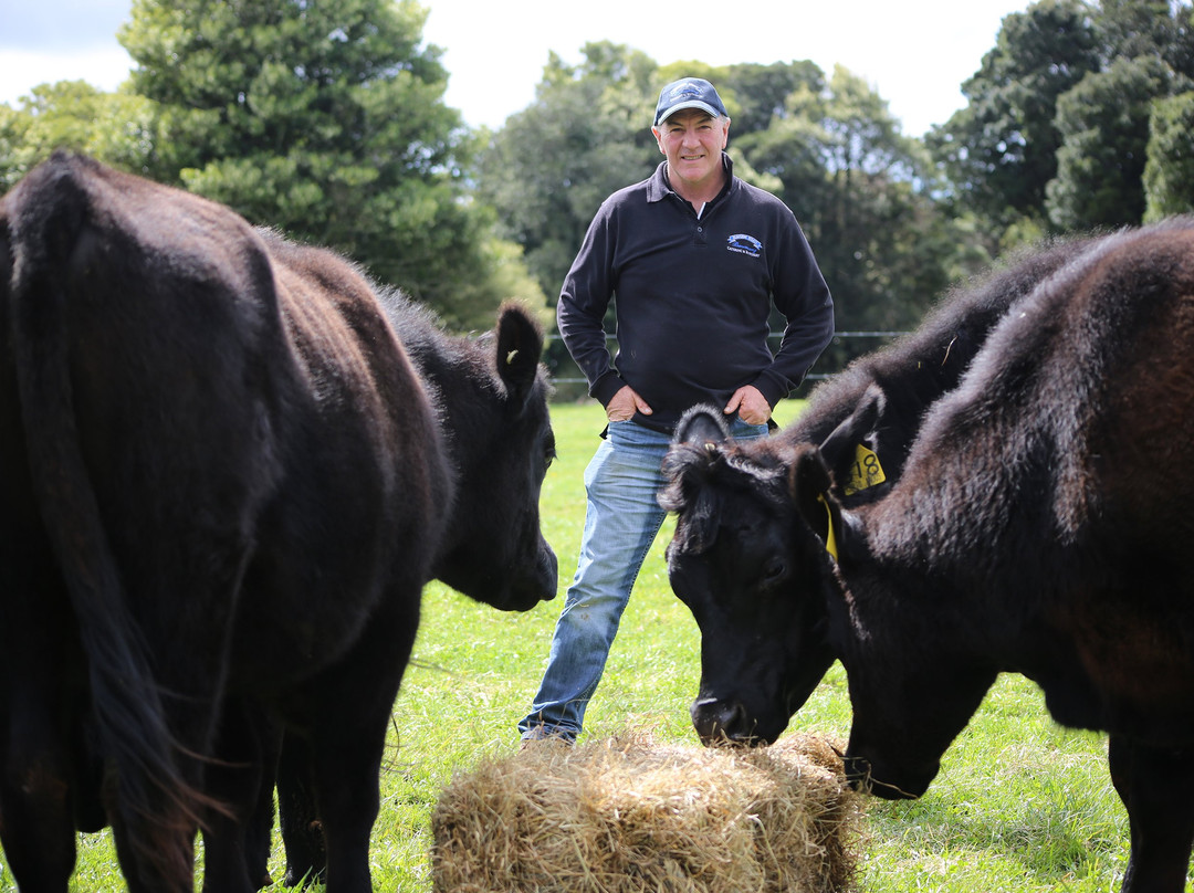 Maugers Paddock to Plate Tours