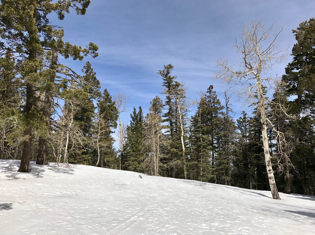 Sandia Trails景点图片