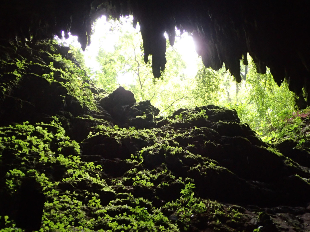里约热内卢佳美洞公园 (Parque de las Cavernas del Rio Camuy)景点图片