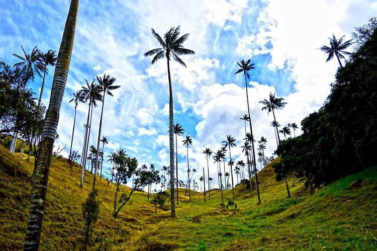 Colombia Viajes-佩雷拉必去景点