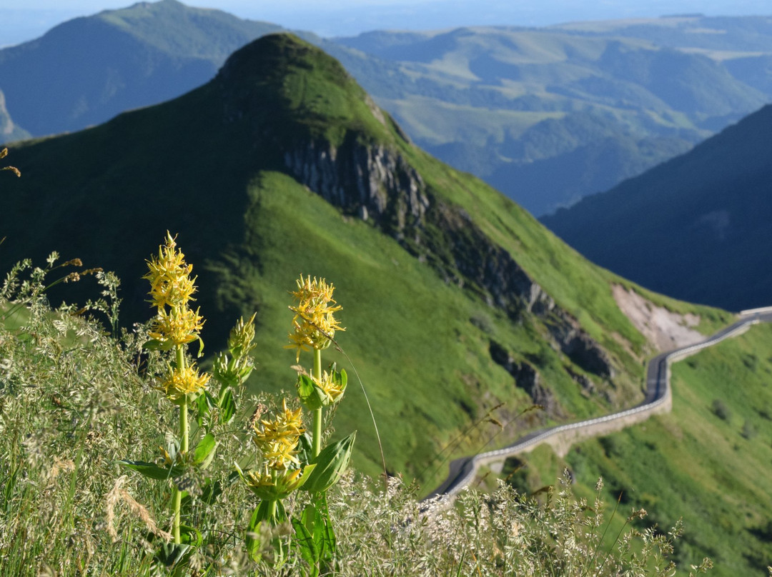 Puy Mary景点图片