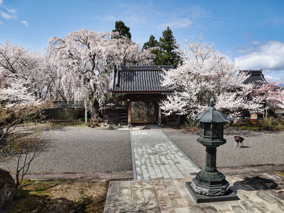 Kokugon-ji Temple景点图片