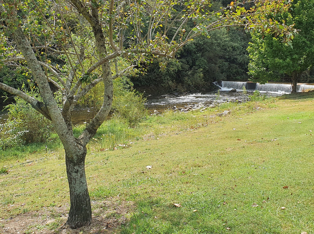 Snowy Creek Picnic Ground景点图片