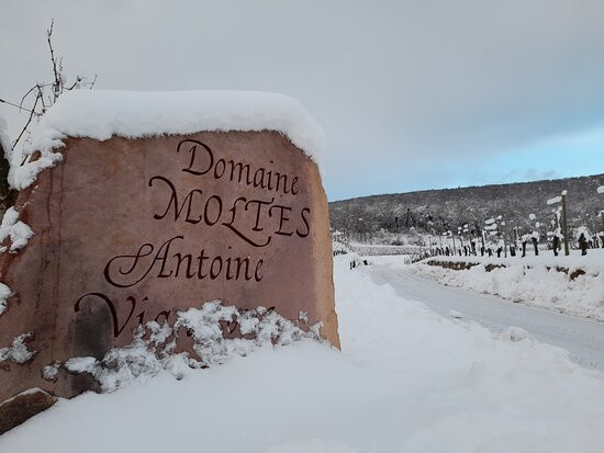 Domaine Moltès Antoine et Fils景点图片