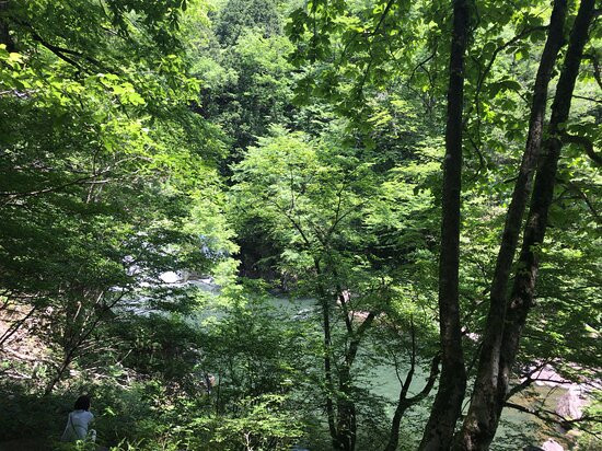 Mitsudaki Falls景点图片