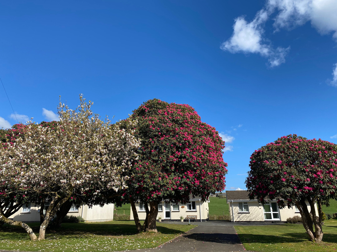 Rosecraddoc Holiday Village