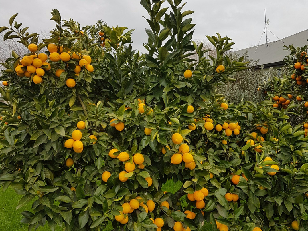 Applecross Sanctuary主图