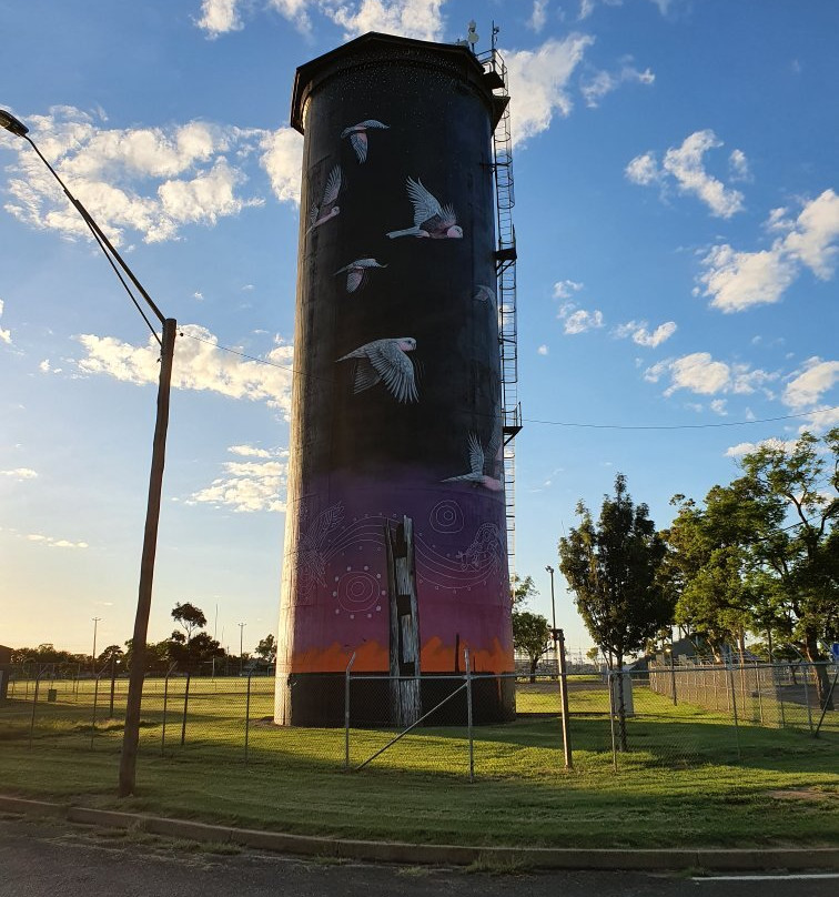 Coonamble Water Tower-Coonamble必去景点