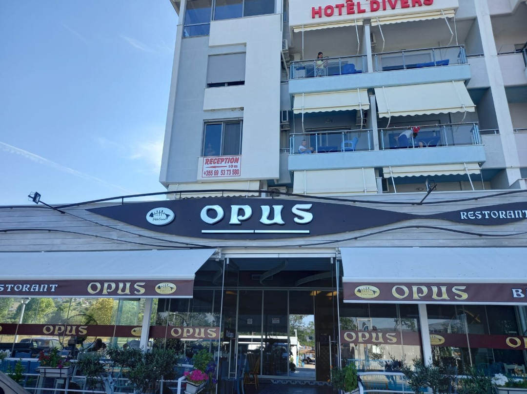 Tragjas餐馆和美食-Opus Restorant