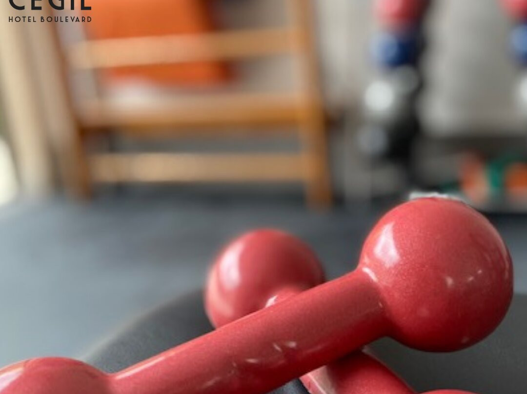 Cegil Hotel Boulevard主图