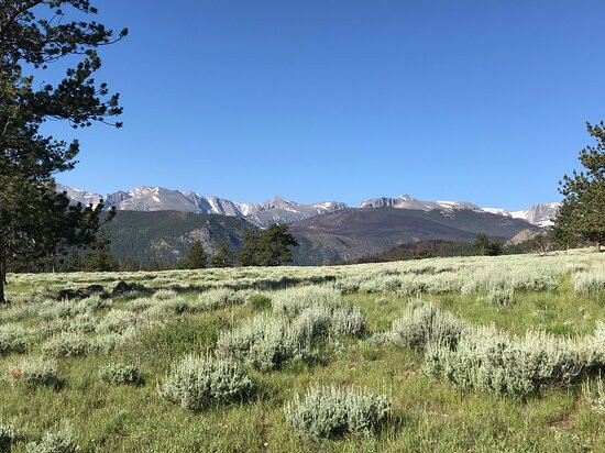 Upper Beaver Meadows Trailhead-落基山国家公园必去景点