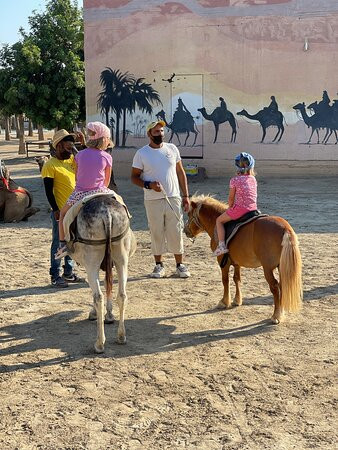 Camel Park景点图片