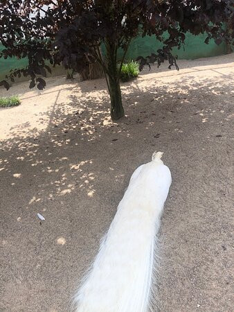 Zoo Neuwied景点图片