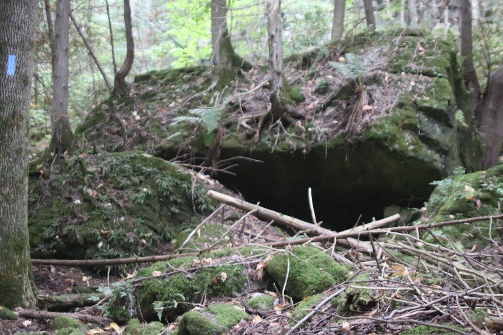 Pattawatomi Memorial Forest-Owen Sound必去景点