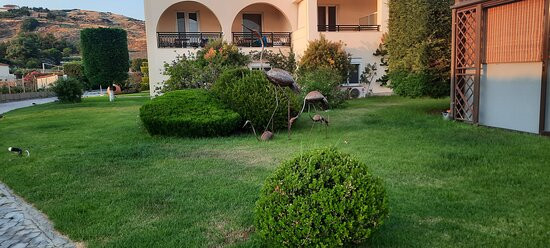 Hotel Afroditi Villa主图