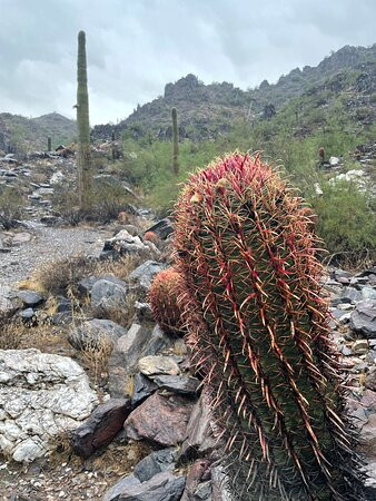匹斯特娃峰-凤凰城必去景点