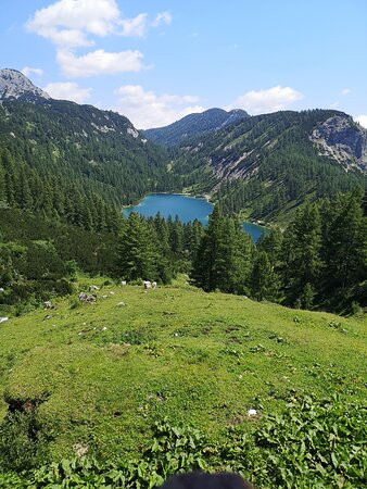 Hotel Schwaiger主图