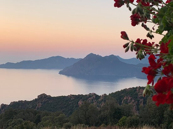 Hotel Les Roches Rouges主图