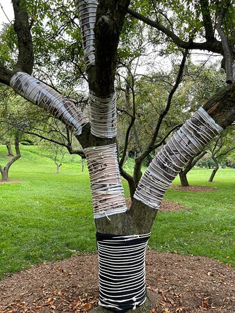 皇后区植物园-法拉盛必去景点