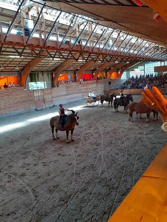 Haras National de Lamballe景点图片