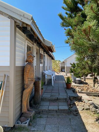 Green Acres Beach & Trail Rides-太平洋城必去景点