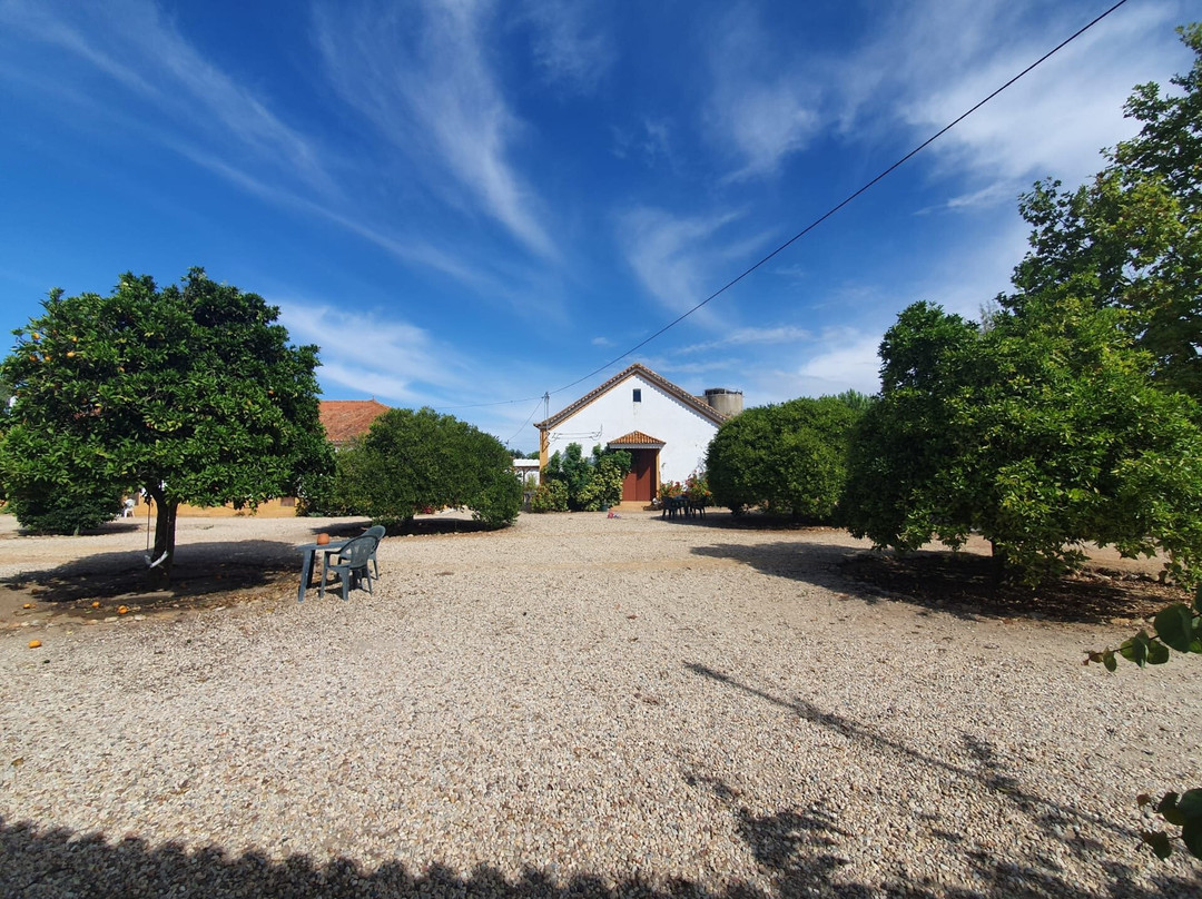 Casas Herdade do Convento da Serra